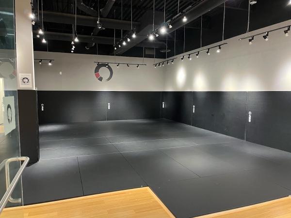 Gentle Arts Dojo