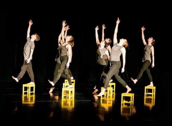 Seda Dance Arts: Adult Dance Studio