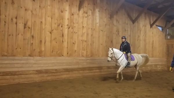 Foxcroft Equestrian Centre