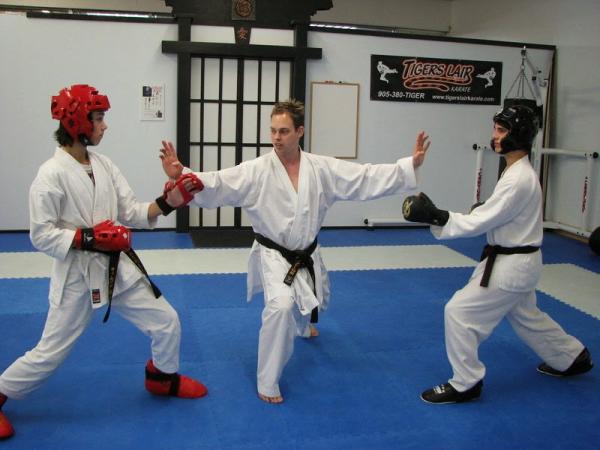 Tigers Lair Karate