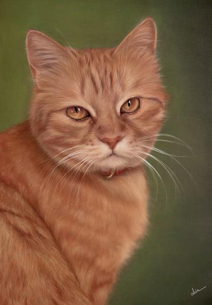 Abirkhalil.art (Pet Portrait Artist