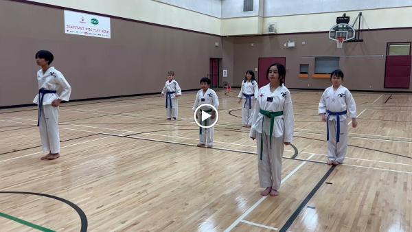Elite Taekwondo Winnipeg Martial Arts School