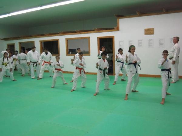 Tsuruoka Kai Karate Do Kitchener-Waterloo