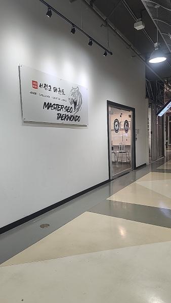 Master Seo Taekwondo