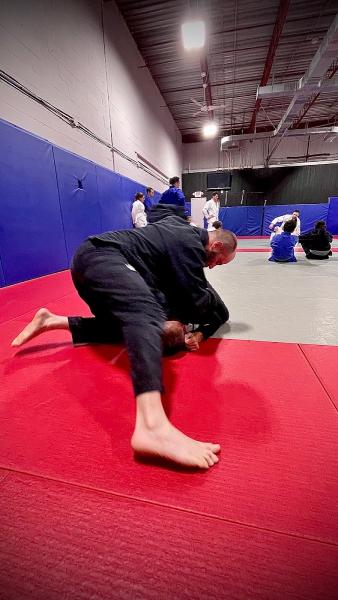 York Judo & BJJ