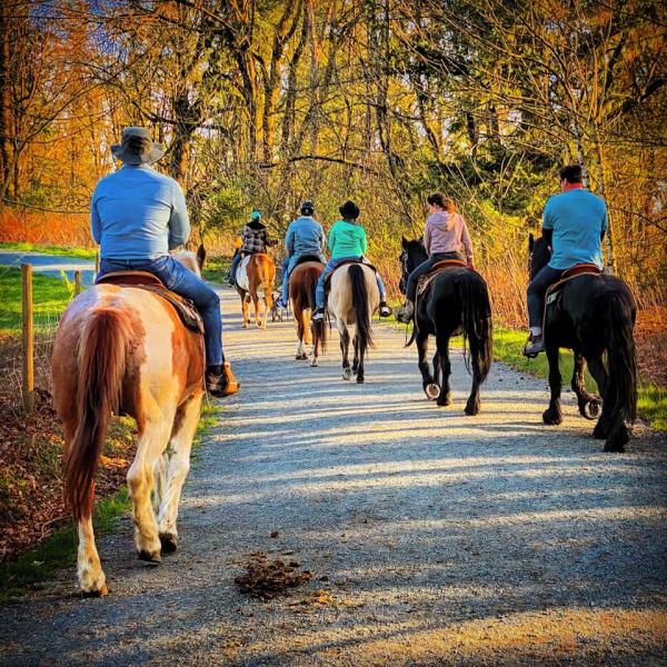 Glen Valley Stables