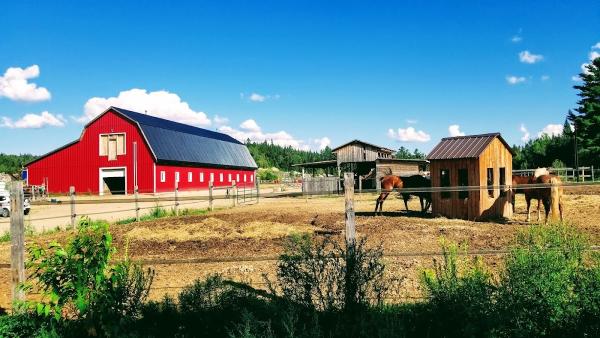 Equestrian Center Shannon