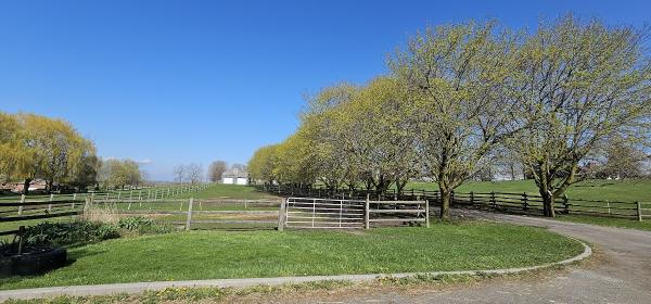 Whitchurch Equestrian