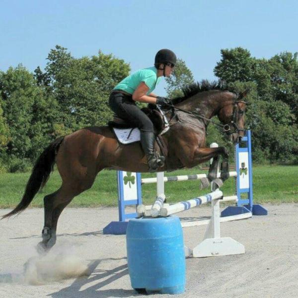 Buxton Equestrian