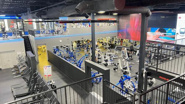 Strength Coach DF