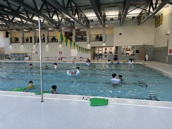 Frank's Swim School Ltd. In Toronto