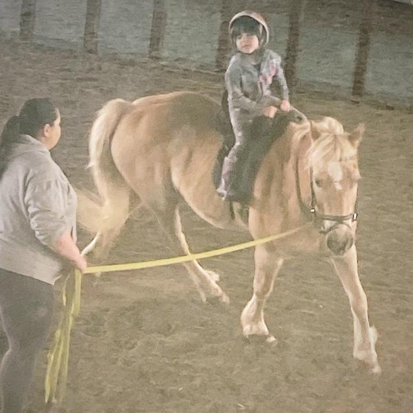 Centre Equestre Mont-Bruno