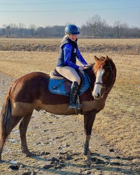 Four Corners Equestrian