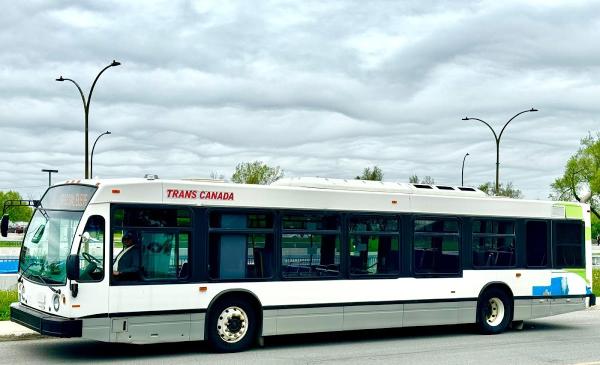 Trans Canada Driving School