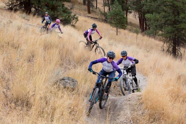 Team Fitness Personal Training