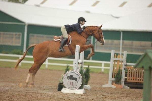 Bridlewood Equestrian