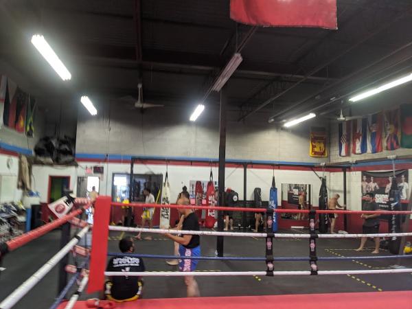 York Muay Thai