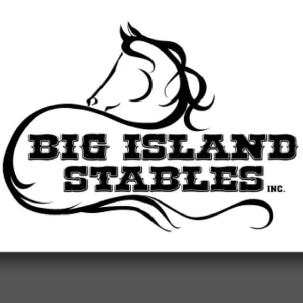 Big Island Stables