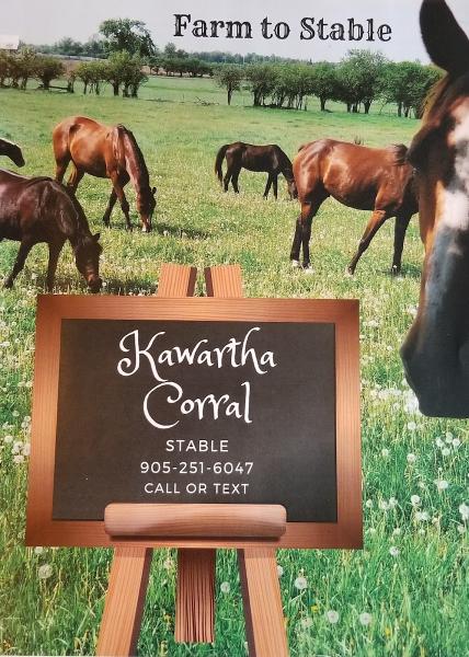 Kawartha Corral