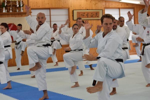 Yamato Karate Academy