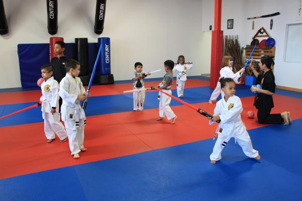 Northern Karate Schools