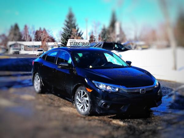 A Proactive Driving School