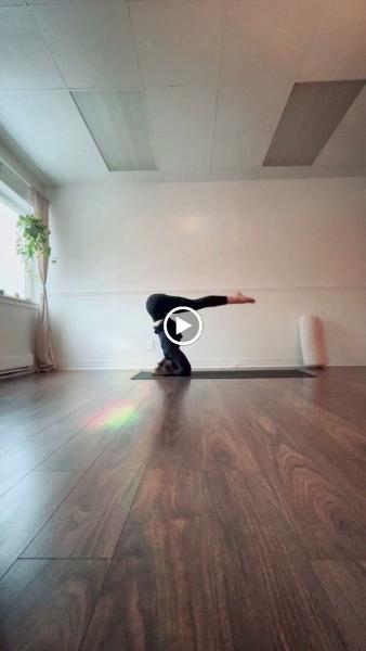 Ashtanga Yoga Squamish