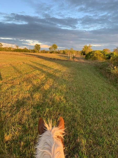 Meadowvale Farm Equestrian Centre