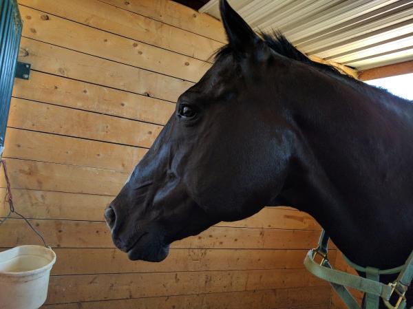 West Winds Riding Centre
