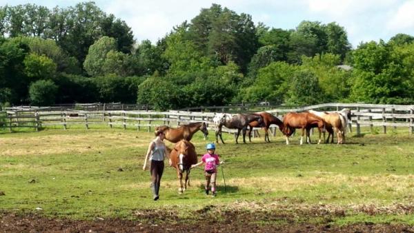 Well Dressed Equestrian Inc.