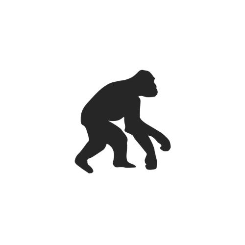 Evolution Learning Tutoring Calgary