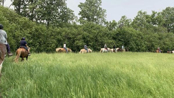 Big Creek Horse Stables