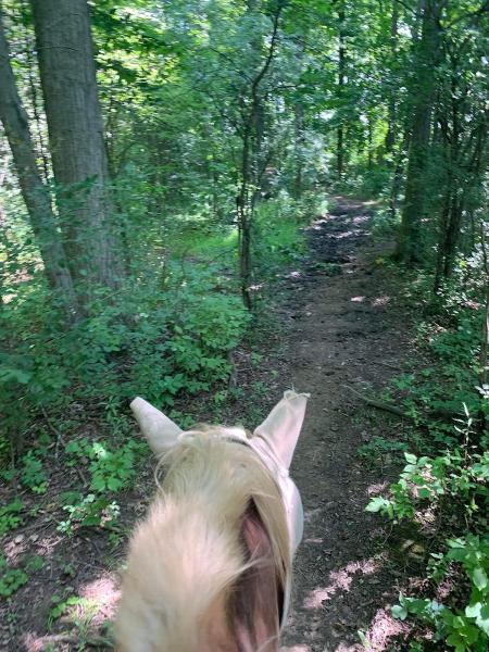 Big Creek Horse Stables