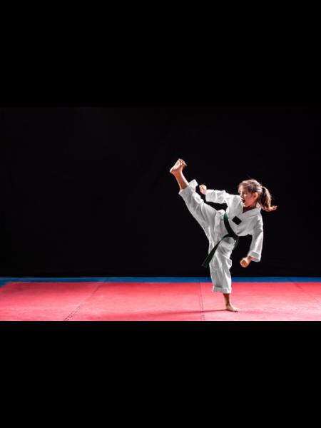 BVO Taekwondo Master Chong