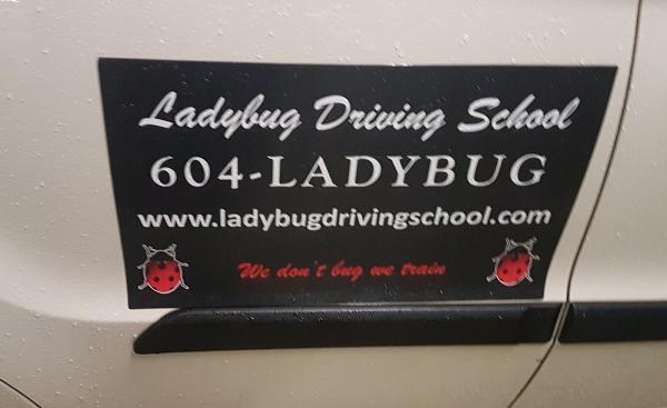 Ladybug Coaching AKA Ladybug Driving School