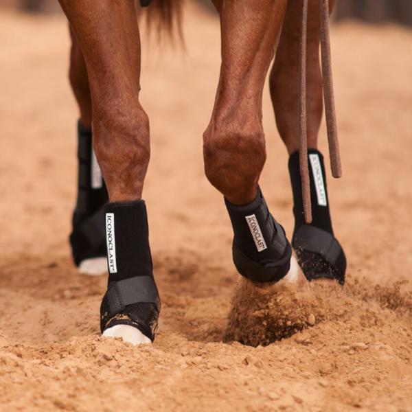 Natural Equine Connection