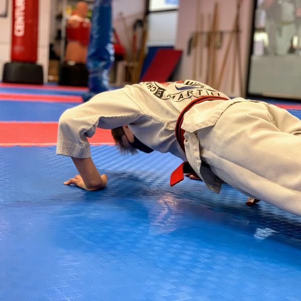 Chang's Taekwondo Martial Arts Tsawwassen