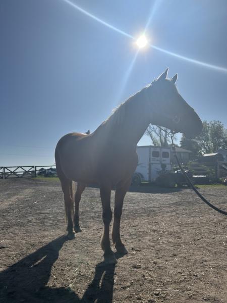 Silver Creek Ranch