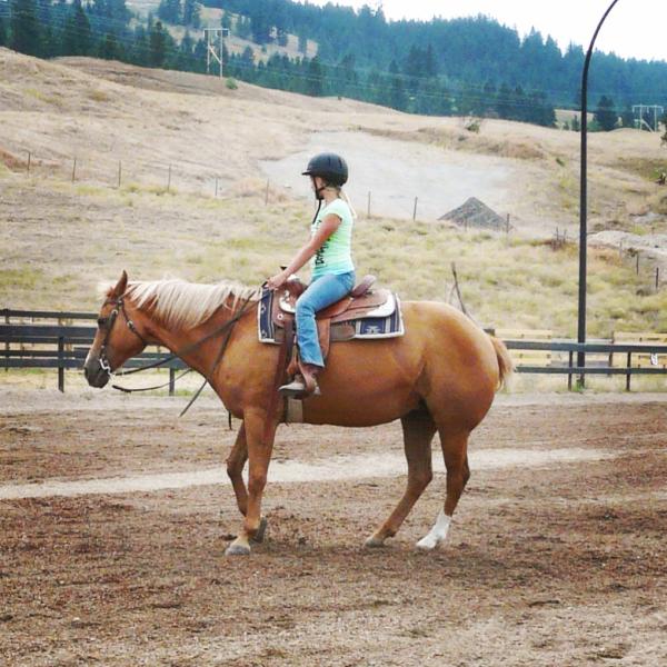 Bridlewood Riding Centre