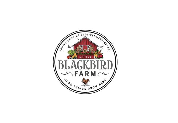 Little Blackbird Farm