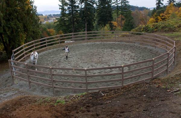 Newview Stables