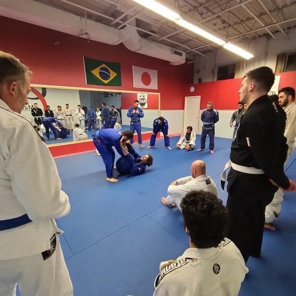 Kingjiujitsu