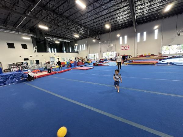 Dynamyx Gymnastics Club