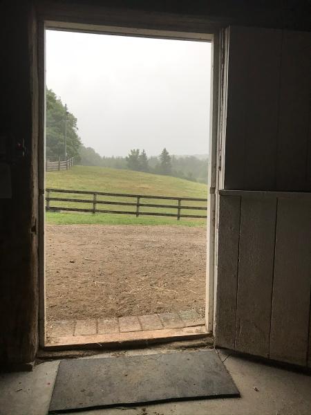 Weybread Hill Farm