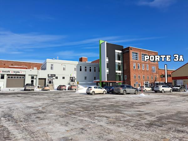 Le Crew Arts Martiaux Mixtes