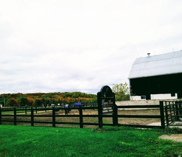Legacy Lane Stables