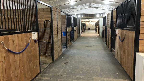 Equine Haven Recovery Care and Equestrian Centre Ltd