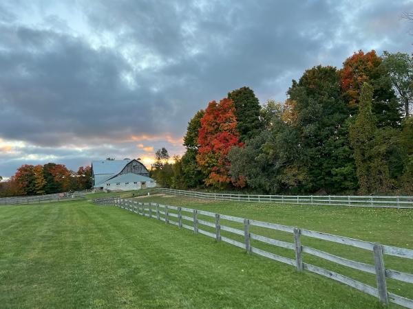 Grandview Farm
