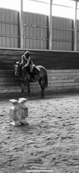 Lea Bank Equestrian Centre