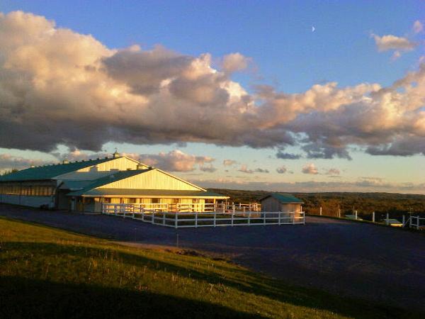Sky Haven Retreat & Equestrian Centre